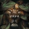 KAYA 91 CURACAO logo