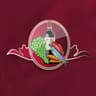PICARE logo